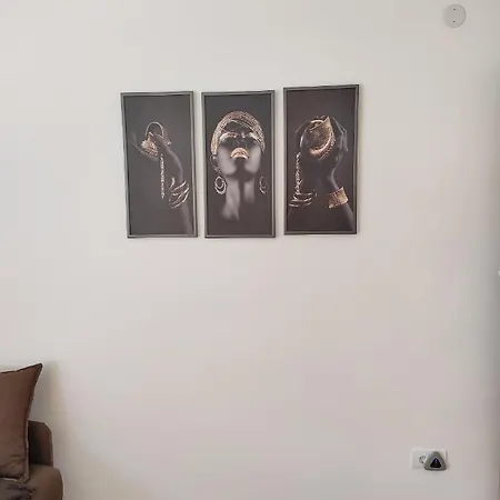 Liman Apartment Novi Sad